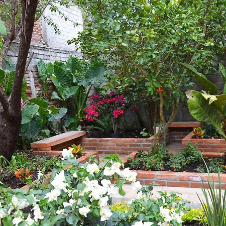 Capital O Casa Rotter Hotell San Cristóbal de Las Casas Eksteriør bilde